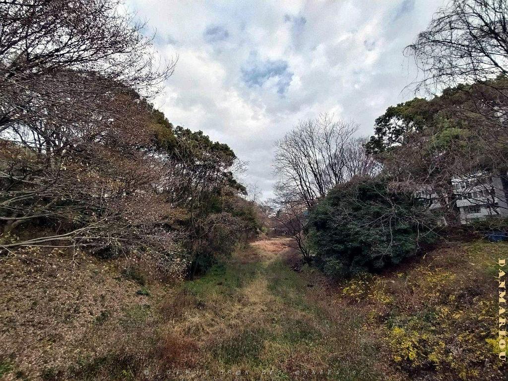 NAGOYA - Centre Ville et Vie Quotidienne - Janvier 2024 - 076.JPG